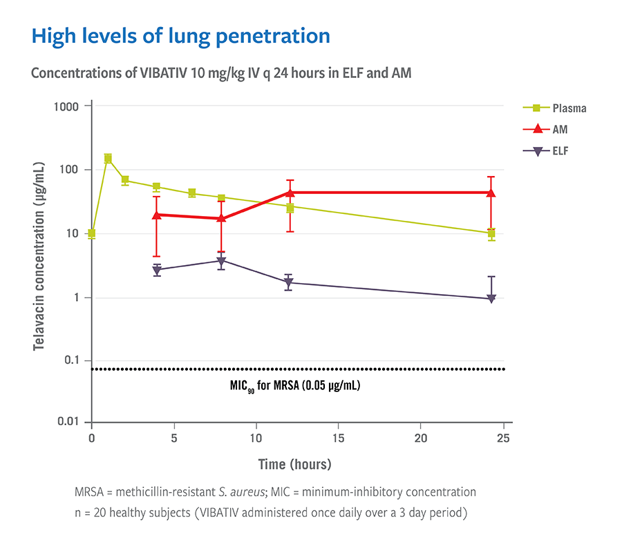 High levels of lung penetration
